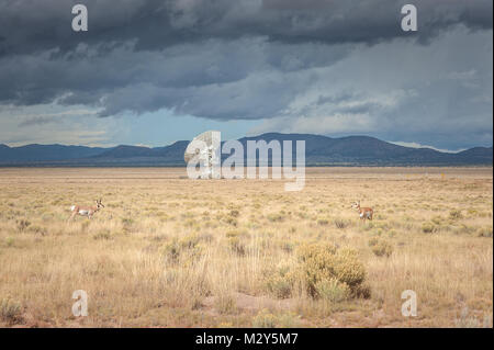 Very Large Array (VLA) Radio Telescopes with pronghorn antelopes in the foreground located at the NRAO Site in Socorro, New Mexico. Stock Photo