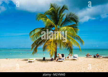 Palm tree on a sandy beach of Pigeon Point, Tobago, Trinidad and Tobago, Caribbean Stock Photo