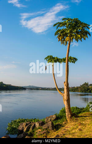 Source of the Nile in Jinja, Uganda, Africa Stock Photo