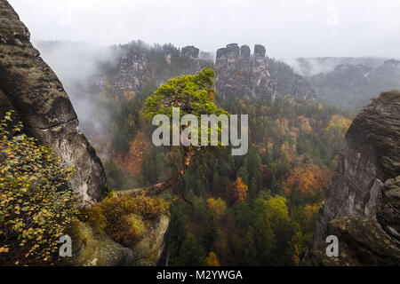 Autumn colors in the Elbsandsteingebirge (Elbe sandstone mountains) near Rathen Stock Photo