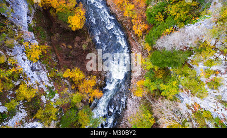 Aerial drone view of amazing autumn colors in fall forest. Rakov Skocjan, Slovenia Stock Photo