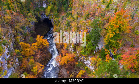 Aerial drone view of amazing autumn colors in fall forest. Rakov Skocjan, Slovenia Stock Photo