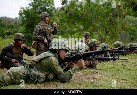 141112-N-YU572-078 CAMP PENANJONG, Brunei (Nov. 12, 2014) – U.S. Marines, assigned to 2nd Battalion, 9th Marine Regiment, Echo Company, and Royal Brunei Land Forces conduct Military Operations in Urban Terrain training during Cooperation Afloat Readiness and Training (CARAT) Brunei 2014. In its 20th year, CARAT is an annual, bilateral exercise series with the U.S. Navy, U.S. Marine Corps and the armed forces of nine partner nations including, Bangladesh, Brunei, Cambodia, Indonesia, Malaysia, the Philippines, Singapore, Thailand and Timor-Leste. (U.S. Navy photo by Mass Communication Specialis Stock Photo