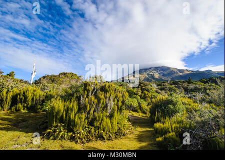 Mount Taranaki, North Island, New Zealand Stock Photo