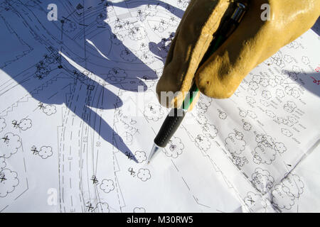 ARLINGTON, Va. -- Stephen Van Hoven, Arlington National Cemetery’s Horticulture Division chief, points to a map referencing tree data to determine his exact location within the Arlington National Cemetery Millennium Project here, Feb. 6, 2013. Van Hoven is investigating the age of trees located within the project boundaries to ensure the initial estimates on tree ages documented in the project’s environmental assessment are correct. The Millennium Project will expand the cemetery by 27 acres, providing additional space and extending the ability to bury the nation’s military heroes from 2025 to Stock Photo