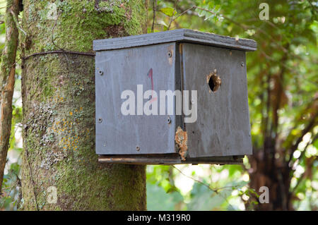 https://l450v.alamy.com/450v/m319r0/possum-trap-m319r0.jpg