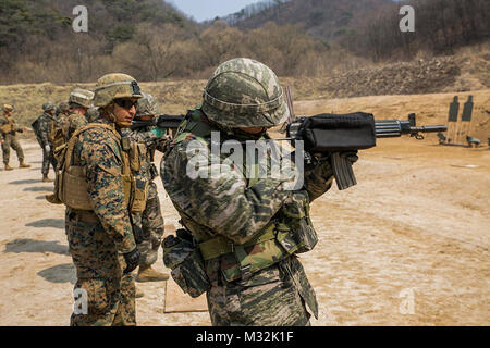 Republic of Korea Marines and U.S. Marines execute  a combat marksmanship range on Camp Rodriguez March 26, 2016. The ROK Marines and the U.S. Marines are training side-by-side for Korean Marine Exchange Program 16-16, an exercise that enhances the relationship between the two nations. The U.S. Marines are with 9th Engineer Support Battalion, 3rd Marine Logistics Group, III Marine Expeditionary Force and is from Edinburg, Texas. The ROK Marines are with 1st ROK Marine Division. (U.S. Marine Corps photo by Cpl. Ryan C. Mains/ Released) US and ROK Marines Training Side-By-Side During Korean Mari Stock Photo