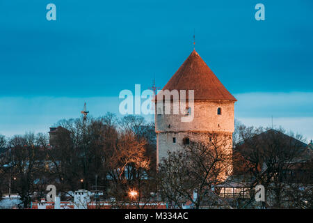 Tallinn, Estonia. View Of Artillery Cannon Tower Kiek In De Kok In Evening Time Or Early Morning.  Name From Ability Of Tower Occupants To See Into Ki Stock Photo