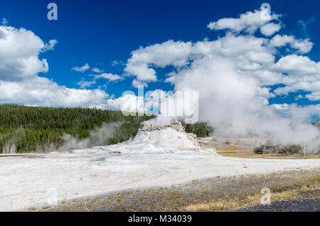 Castle Geyser in the Upper Geyser Basin, showing a steam plume.  Bison grazing near hot water pool.  Yellowstone National Park, Wyoming Stock Photo