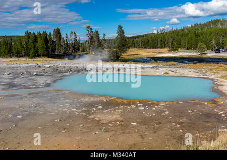 Black Opal Pool in Biscuit Basin.  Yellowstone National Park, Wyoming, USA