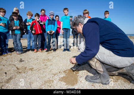 PORTSMOUTH, Va. -- Pam Boatwright with the Elizabeth River Project shows fourth grade students from Norfolk Christian School how to plant Spartina patens at the Craney Island Dredged Material Management Area here March 31, 2015. As part of its STEM outreach program, the district partnered with the ERP to provide a place for students to plant marsh grasses and learn about the diverse ecosystem along the shoreline of the Elizabeth River.  (U.S. Army photo/Patrick Bloodgood) 150331-A-OI229-006 by norfolkdistrict Stock Photo