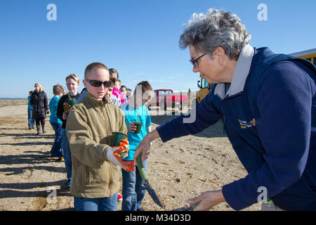 PORTSMOUTH, Va. -- Pam Boatwright with the Elizabeth River Project issues out hand shovels to fourth grade students from Norfolk Christian School to assist them in planting Spartina patens at the Craney Island Dredged Material Management Area here March 31, 2015. As part of its STEM outreach program, the district partnered with the ERP to provide a place for students to plant marsh grasses and learn about the diverse ecosystem along the shoreline of the Elizabeth River.  (U.S. Army photo/Patrick Bloodgood) 150331-A-OI229-008 by norfolkdistrict Stock Photo