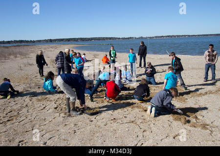 PORTSMOUTH, Va. -- Students from the Norfolk Christian School plant Spartina patens at the Craney Island Dredged Material Management Area here March 31, 2015. As part of its STEM outreach program the district partnered with the Elizabeth River Project, which oversaw the event and provided a place for students to plant the marsh grasses and learn about the diverse ecosystem along the shoreline of the Elizabeth River. (U.S. Army photo/Patrick Bloodgood) 150331-A-OI229-016 by norfolkdistrict Stock Photo