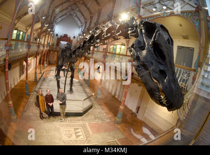 Dorset County Museum, UK. 9th February, 2018. Dippy the Diplodocus goes on display at Dorset County Museum on the first stop of a nationwide tour. The Natural History Museum's 292-piece cast of a fossilised skeleton of a Diplodocus found in 1898 will be on show until the 7th May, 2018 Credit: Finnbarr Webster/Alamy Live News Stock Photo