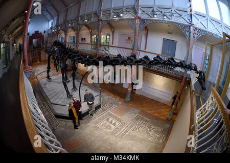 Dorset County Museum, UK. 9th February, 2018. Dippy the Diplodocus goes on display at Dorset County Museum on the first stop of a nationwide tour. The Natural History Museum's 292-piece cast of a fossilised skeleton of a Diplodocus found in 1898 will be on show until the 7th May, 2018 Credit: Finnbarr Webster/Alamy Live News Stock Photo