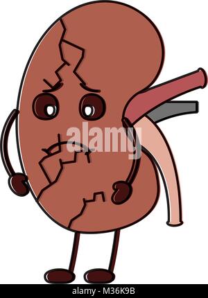 Kidney funny cartoon Stock Vector Art & Illustration, Vector Image ...