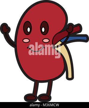 cartoon happy human kidney smiling character Stock Vector