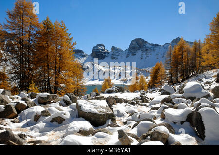 Golden Larches and Winter Snow at Lake Allos in Mercantour National Park in the French Alps Alpes-de-Hautes-Provence Provence France Stock Photo