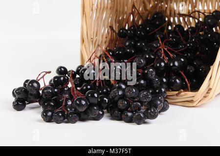Fruits chokeberry in the basket on a white background Stock Photo