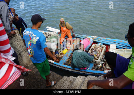 Fishermen bringing Fish to the Fish Market in Mindelo Stock Photo