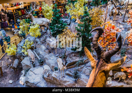 Cabela's East Hartford, Connecticut, USA Stock Photo: 174168984 - Alamy
