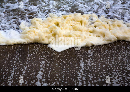 Yellow foam being washed up on the south coast of the Isle of Wight Stock Photo