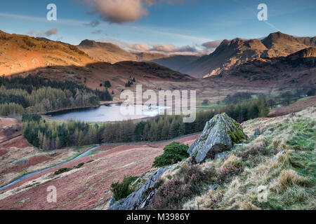 Blea Tarn and the Langdale Pikes at sunrise, Little Langdale, Lake District National Park, Cumbria, England, UK Stock Photo