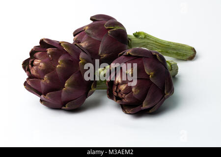 Three fresh roman artichokes isolated on white background Stock Photo
