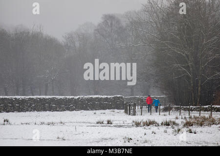 A couple wearing red and blue jackets walking in the falling snow along the path at Elterwater in the lake district, England, UK on a winters day with heavy snowfall Stock Photo