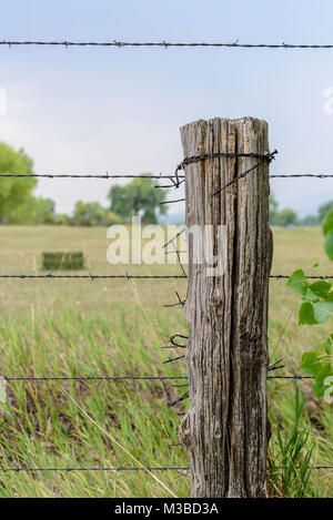 old barbed wire fence on weathered wood post Stock Photo