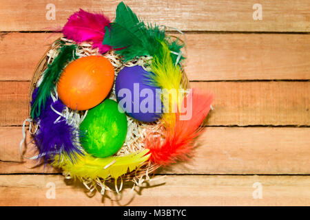 colored easter eggs and nests with colored feathers Stock Photo