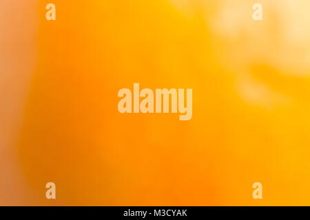 Abstract blurred background of a fresh orange Stock Photo