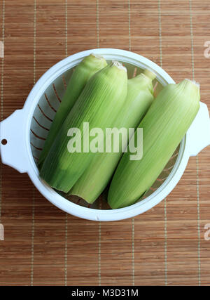 Fresh corn in white plastic colander Stock Photo