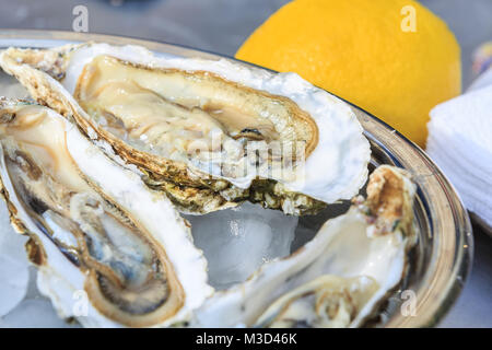 Several open oysters lie in a bowl with ice and lemon Stock Photo