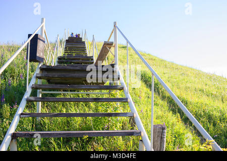 Concrete Stair in the Khao Yai Forest at Thailand Stock Photo