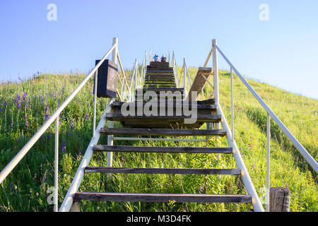 Concrete Stair in the Khao Yai Forest at Thailand Stock Photo