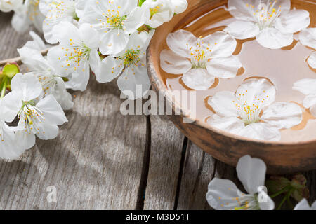 Floating flowers ( Cherry blossom)   in сlay  bowl. Stock Photo