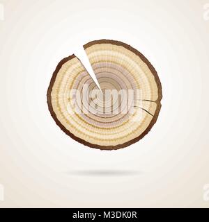 tree rings on a tree trunk sawing Stock Vector