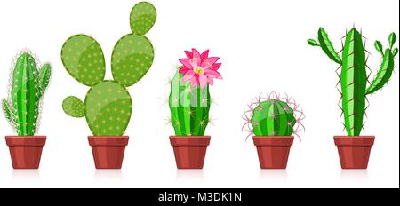 set of cactuses in pots on a white background Stock Vector