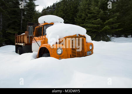A snow-covered 1970 International Loadstar 1700A dump truck, at Eagle View, Montana Stock Photo