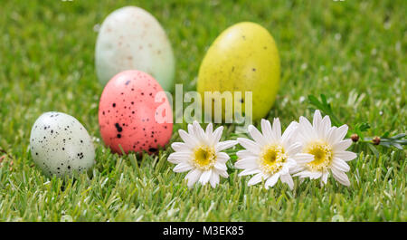 Easter concept. Colorful eggs and white daisies on green grass, close up view Stock Photo