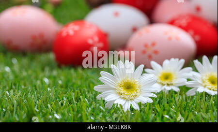 Easter concept. White daisies on green grass, blurred easter eggs background. Selective focus on the flowers, close up view Stock Photo