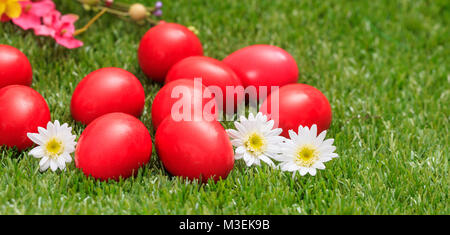 Easter concept. Red eggs and white daisies on green grass, close up view Stock Photo