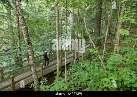 Wakefield, Michigan - Susan Newell, 68, hikes on a boardwalk beside the Presque Isle River in Porcupine Mountains Wilderness State Park. Stock Photo