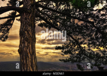 Sunset behind Tree taken in 2015 Stock Photo