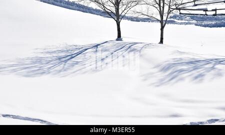 Love the shadows of the treas on the snow in the afternoon sun. Taken on February 10,2018 at 2:25 PM. Stock Photo