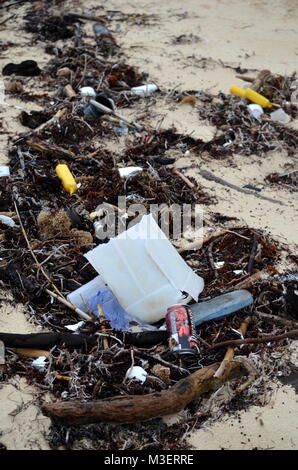 Garbage, plastic waste and heaps of dead marine plants and animals ...