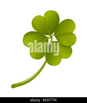 Leaf clover. Leaf clover on a white background. Green clover leaf. Stock Vector