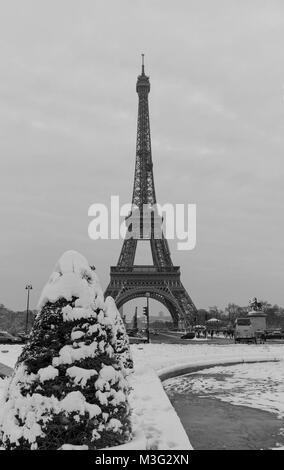 Eiffel tower and pine tree under the snow in winter - Paris Stock Photo