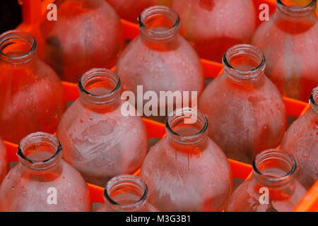 A full crate of empty  traditional milk bottles Stock Photo